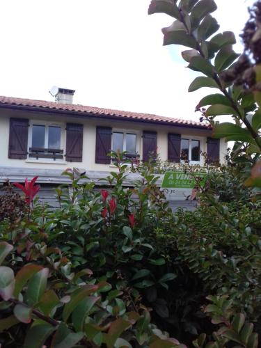 Le Paradis bleu messanges gîte à louer Messanges