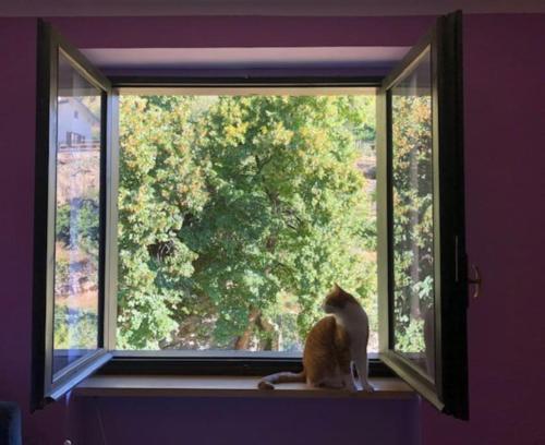 Skats, CASA CON VISTA A GRAVERE in Gravere