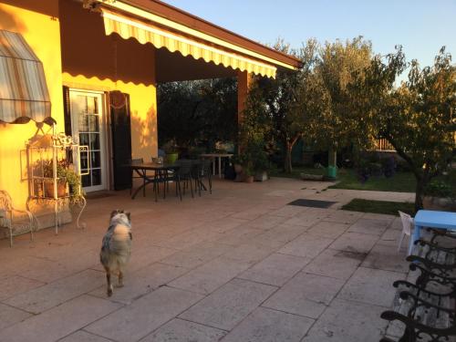  suite al Pian in I Gugi