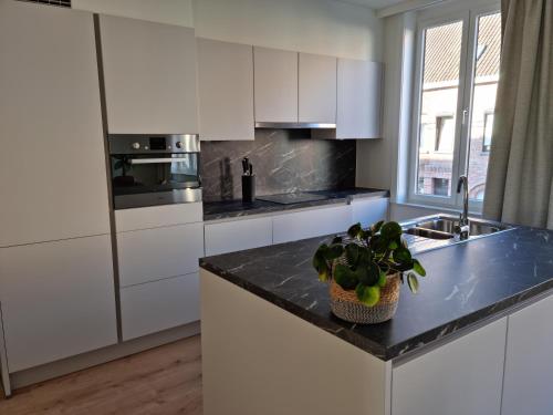 Kitchen, Maison Florimond in Nieuwpoort