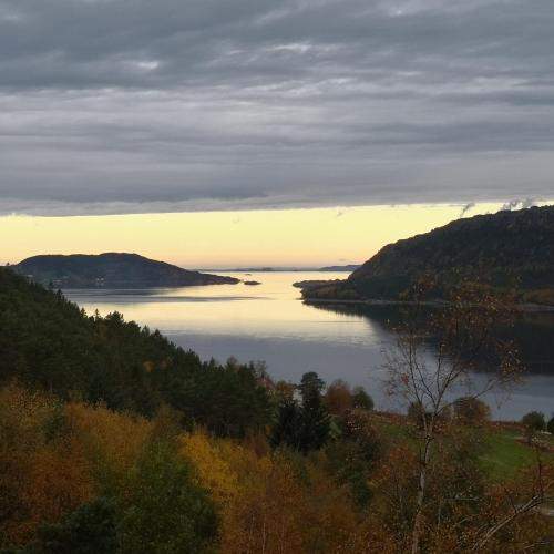 Sørfjorden Eye Iglo - Fosen