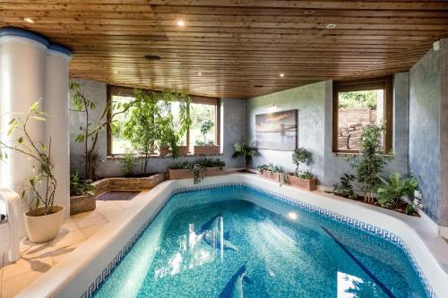 Private Villa with indoor pool, Budapest (foto 11)