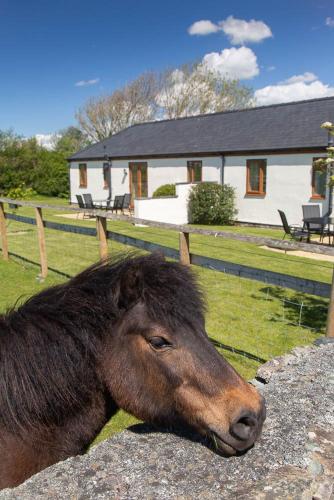 Elidir Cottage