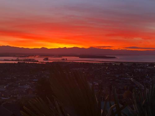 View, Citrus Grove in Stoke
