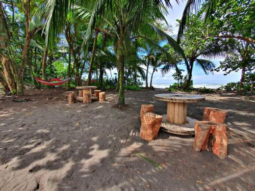 Caribbean View House in Tortuguero