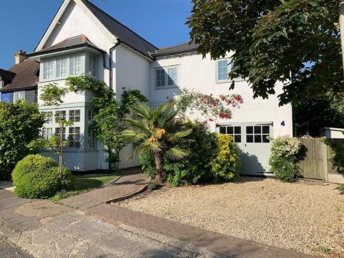 Sunny, cosy, family friendly house in Whitstable. gîte à louer Tankerton