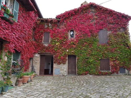 B&B La Rocca chambre d'hôte Casteldelci