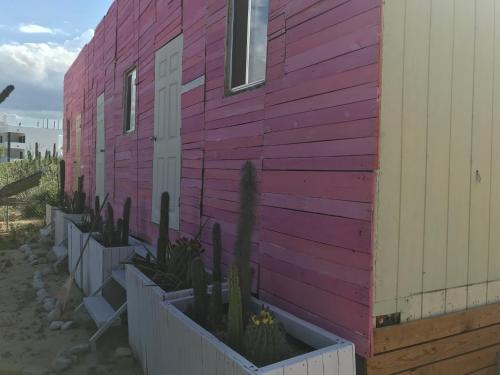 Susu’Z Village Hostel and Rooms