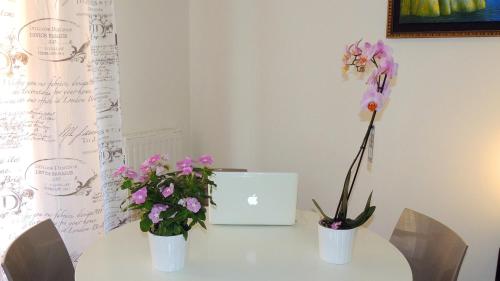 In Itinera - image 5