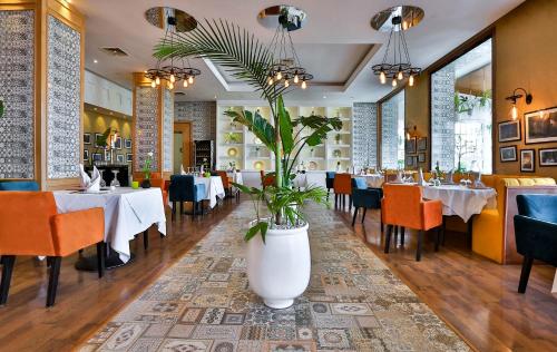 مطعم, Terminus City Center in وجدة