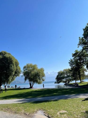  NEB-THUN LODGE`s Seehaus 1 Gwatt in Thun