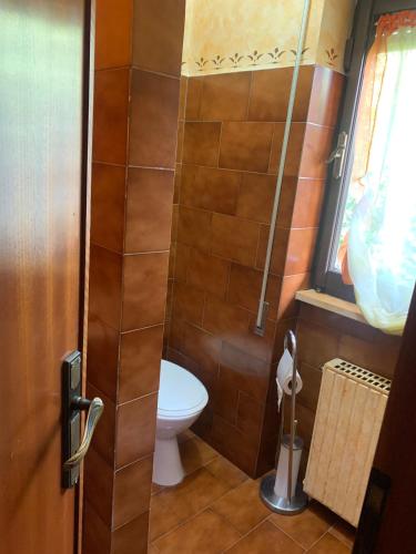 Baño, Arturo & Trilly in Ronciglione