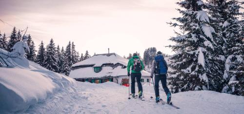 Naturel Hoteldorf Schönleitn - image 8