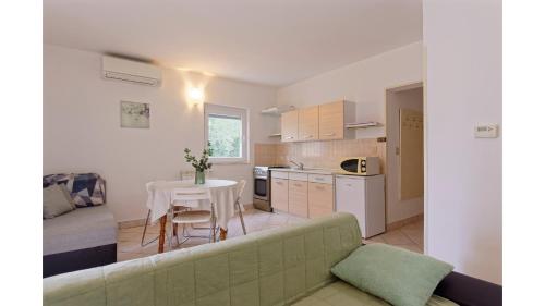  Apartment Chip in Murine