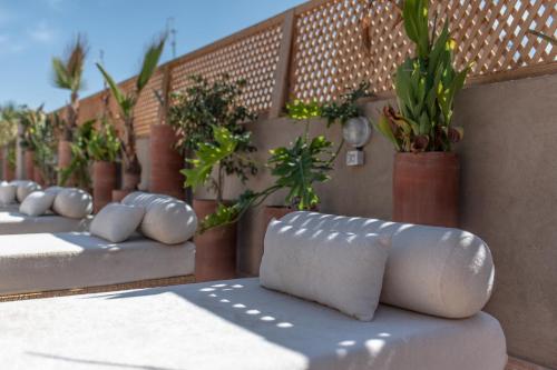 Riad Babouchta & Spa 5