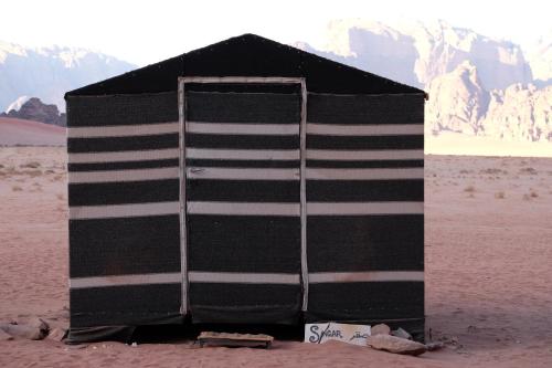 Wadirum momoo, Wadi Rum