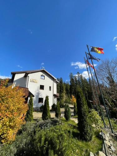 . Pensiunea La Steaguri
