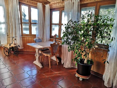 Restoran, Edel Weiss Gästezimmer (Edel Weiss Gastezimmer) in Furstenstein