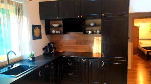 Konyha, Bieszczady Domek Nad Stawem in Łączki