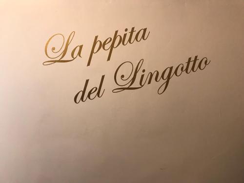  La pepita del Ling8, Unterkunft in Turin