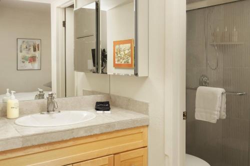 Woodbridge 27E, Snowmass Village (fotografie 10)