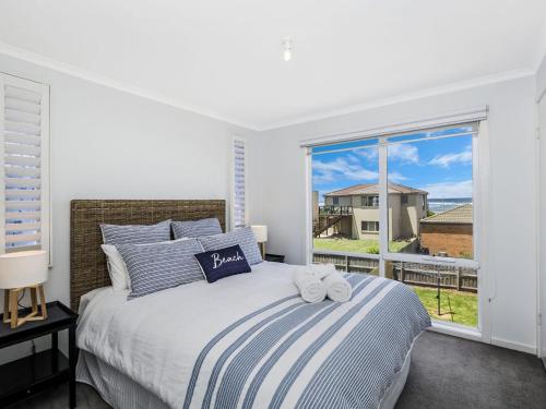 Saltys, Port Fairy (fotografie 10)