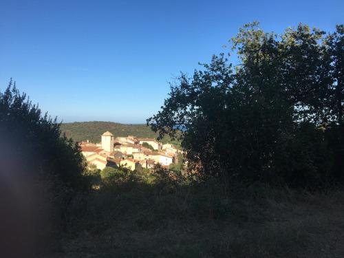 Clos des Vignes Pampelonne Vineyard - main image