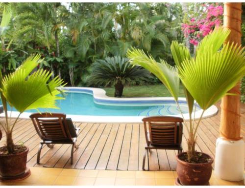 สระว่ายน้ำ, Charming Caribbean style villa near superb beach in ลาส เทอเรนาส