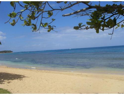 ชายหาด, Charming Caribbean style villa near superb beach in ลาส เทอเรนาส