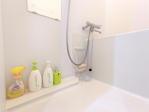 One-Bedroom Apartment image 5