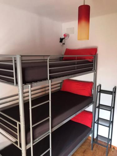 Bunk Bed in Mixed Dormitory Room