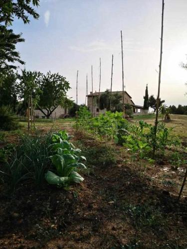 . Casa rural restaurante Mas Del Rei