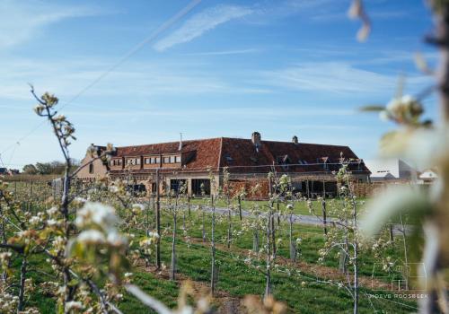 Hoeve Roosbeek BnB Melveren