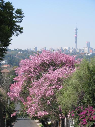 アグタープラス B&B ゲストハウス