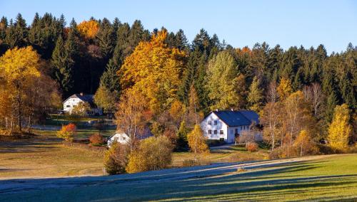 Ferienwohnung Sacher in Sandl