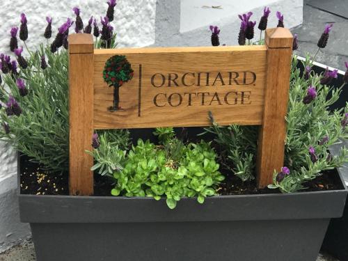 Peaceful Traditional Irish Cottage Set On Own Land gîte à louer Drumquin