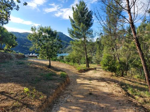 Quinta do Rio photo 4