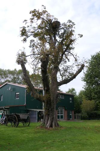 Ferienwohnung Weideglück