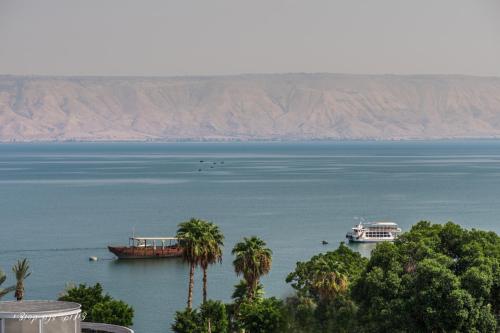 נופש כנרת מגדלי המלכים, Tiberias (foto 4)