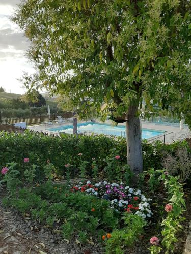 Swimming pool, La Casa di Campagna in Carassai