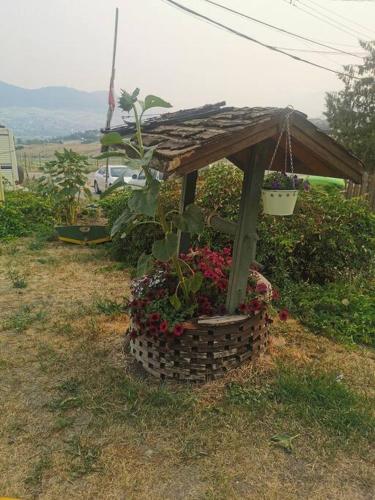 The Vines offers stunning views and relaxation!