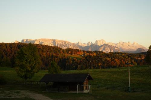 Gasthof Mesnerwirt - image 2