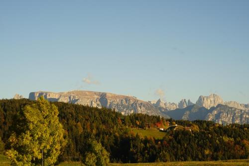 Gasthof Mesnerwirt - image 8