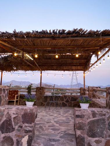 Attrezzature e servizi, Algor Farm in Hatta