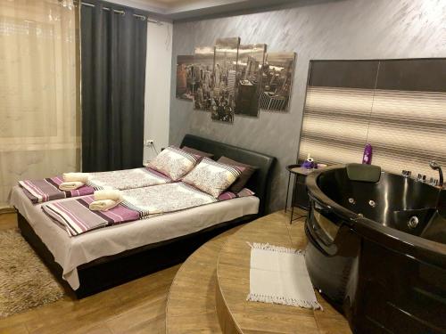Ceca Apartman, Niš