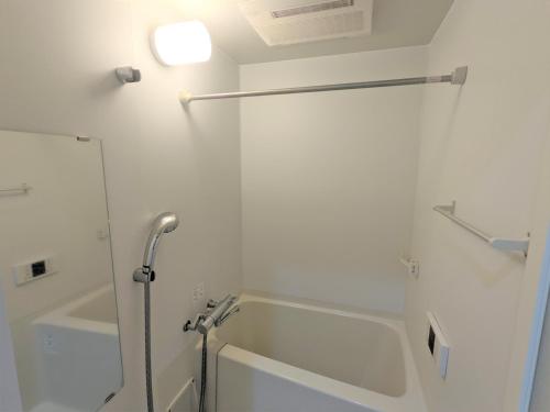 One-Bedroom Apartment image 4