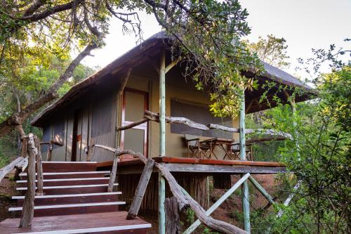 Exterior view, Lalibela Game Reserve Tree Tops Safari Lodge in Sidbury