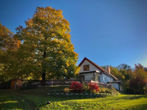 Ferienhaus Koller