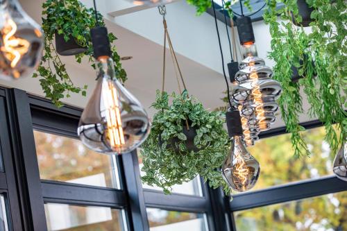 Best Western City Hotel Goderie - image 9