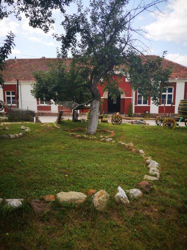 Accommodation in Opština Knjaževac